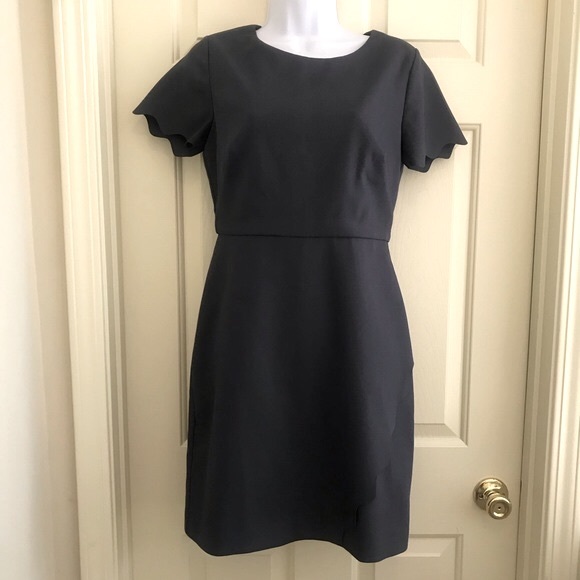 Loft Short Sleeve Scalloped Sheath Dress. Size 2 - Picture 2 of 5